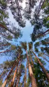 База Путеец - 28