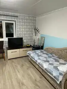 Совушка - 2