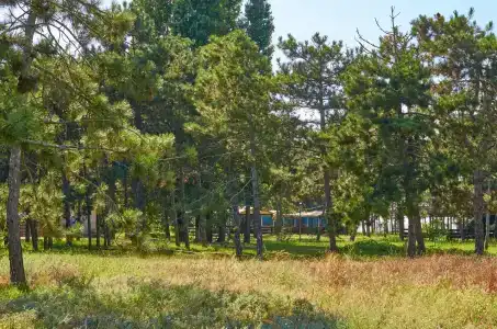 Бриз - 27