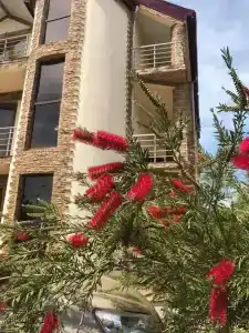 Кобулети - 6