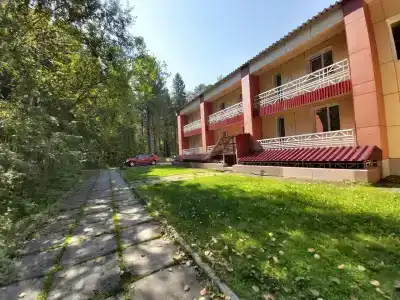 Кедр - 13