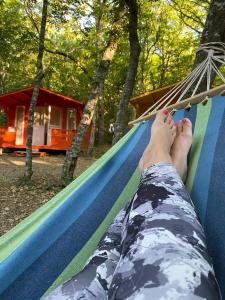 Эколоджия - 23