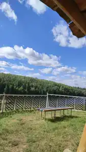 Лучезарный - 11