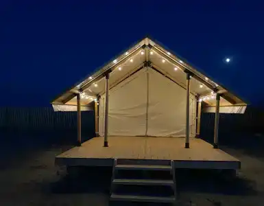 Оранжевая Кефаль - 4