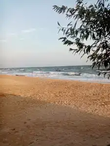 Бригантина - 52