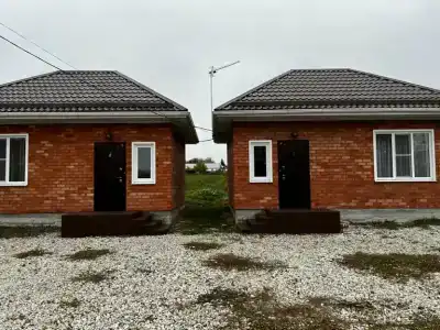 Наш берег - 5