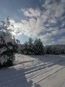 Чикмарёвых - 18