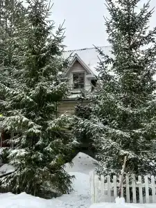 Дом у озера в Шапкино - 6