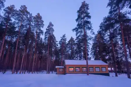 Сказка - 25