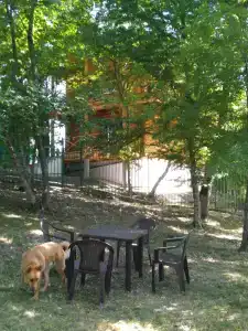 Бревенчатый дом в лесу - 41