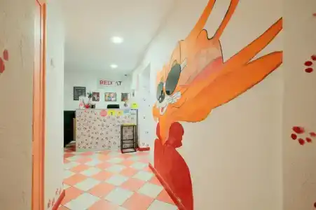 Red Cat - 0