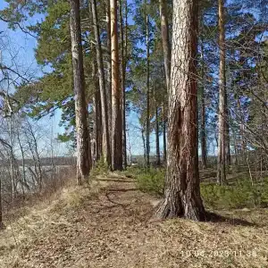 Аленушка - 91