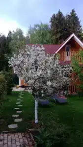 Прибрежное - 0