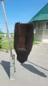 Желтый запорожец - 13