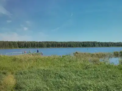 Бурдиха - 19