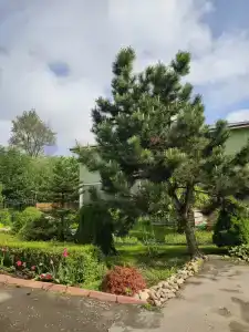 Волшебный Сад - 23