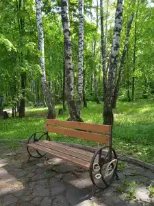 Санаторий Лесной - 12