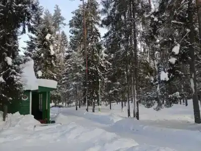 Сосновый берег - 43