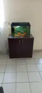 Жемчужина - 48