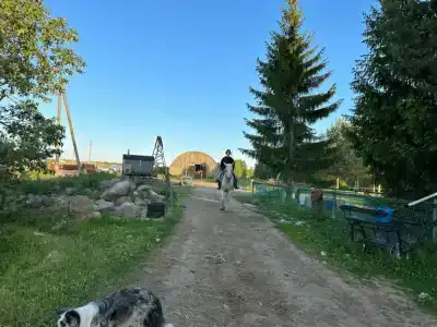 Паллада пастораль - 6