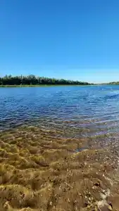 Роза Ветров - 17