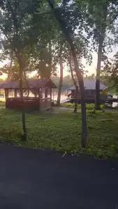 Роза Ветров - 29