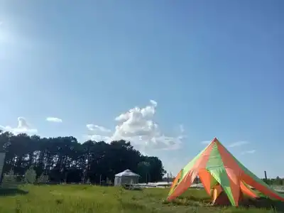 Смородина - 19