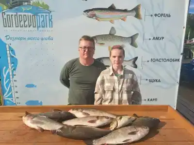 Гордеево-Парк - 49