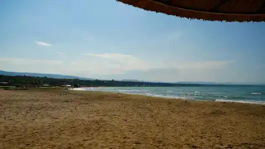 Солнечный пляж - 76