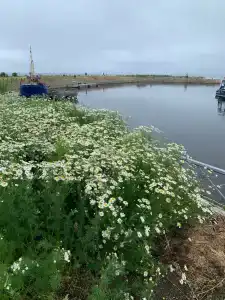 Мир Маяков - 75