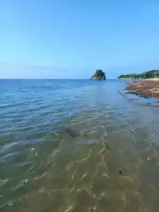 Зелёная полянка - 36