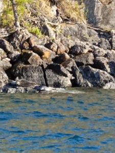 Мир Байкала - 10