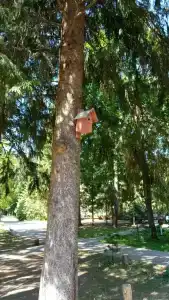 Кристалл - 73