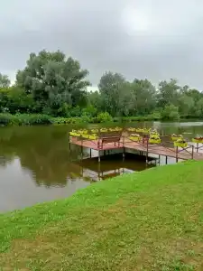 Кувшинка - 11