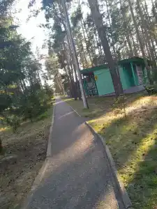 Сура - 51