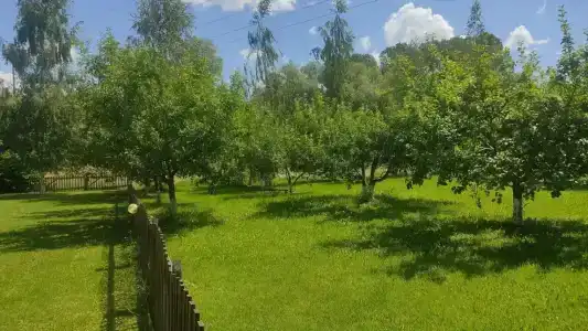Зеленый Яр - 5