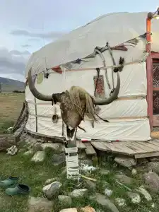 Тыдтуярык - 8