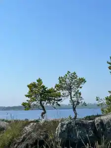 Дом на берегу Ладоги Tervunjoki - 28