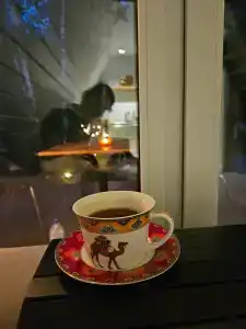 Дом с баней и чаном у леса - 37