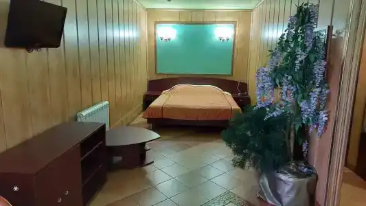 Гостиничный Комплекс Матис - 19