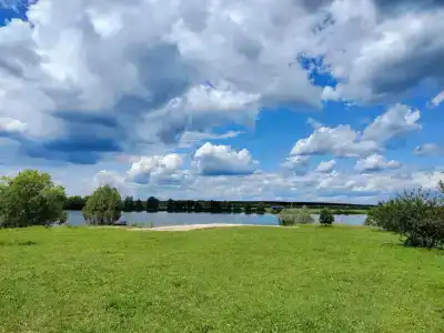 Белый лис - 7