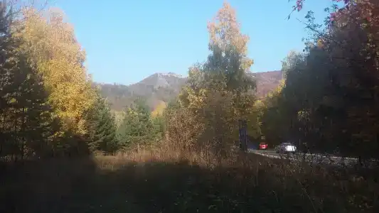 Заповедник - 24