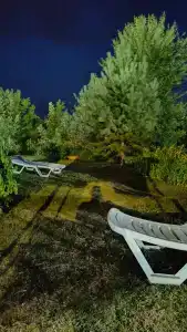 Светлый - 31