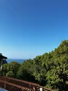 MoreWood - 9