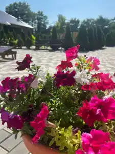 Прибой - 39