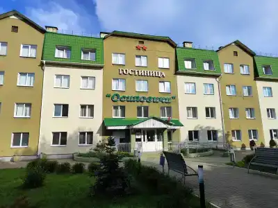 Осиповичи - 1
