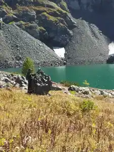 Замульта кемп - 40