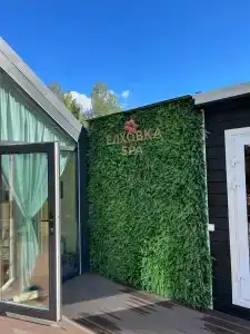 Елховка Spa - 50