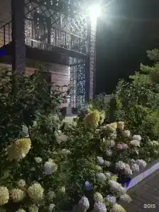 Поляна - 2