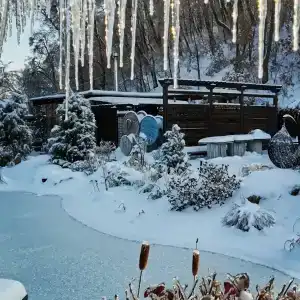Морозовский хутор - 25